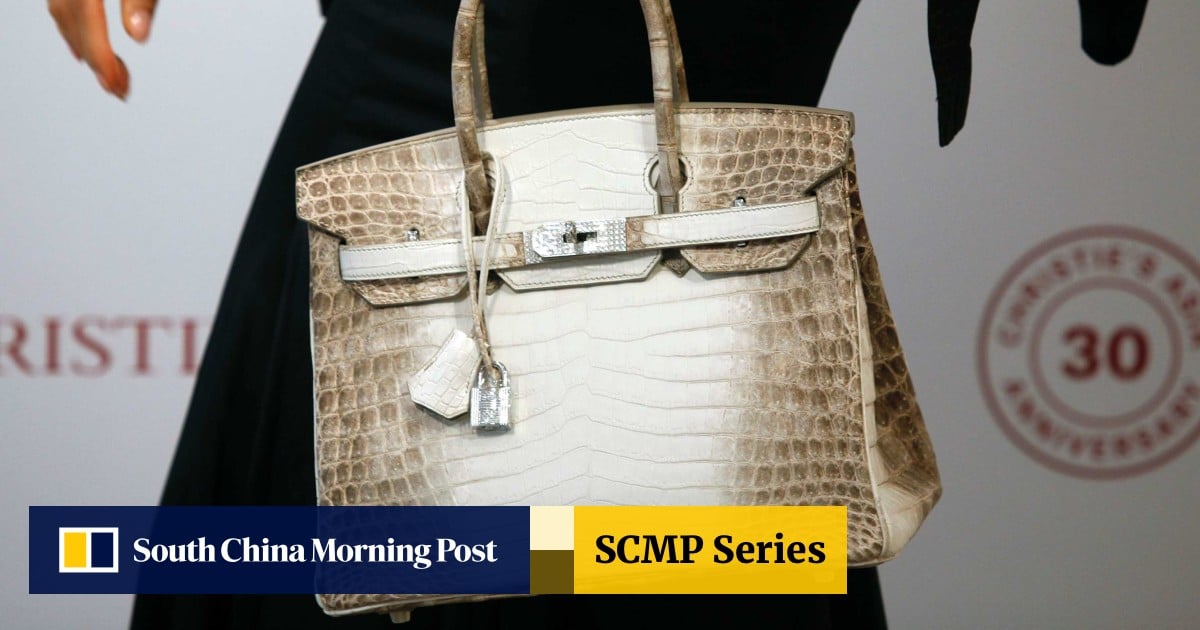 Bag Collector Hermes Birkin Jeffree Star Expensive Purse Jeffree