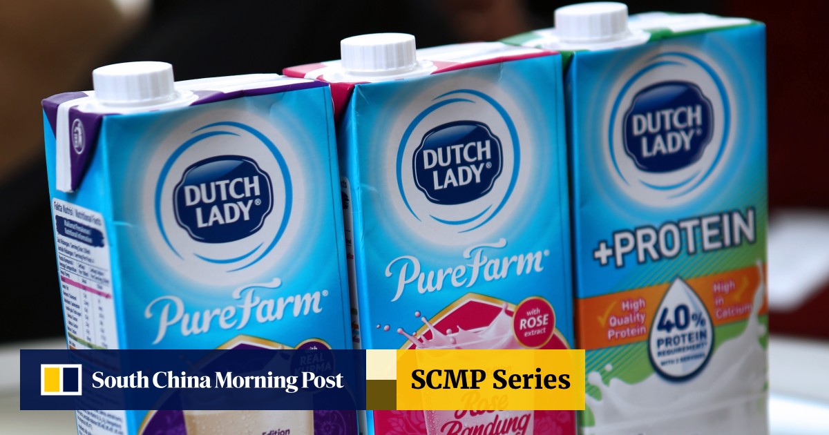Dutch lady fresh milk