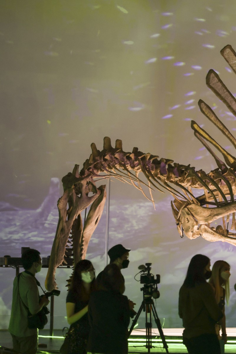 Dinos, fossils, eggs, oh my! What to expect on a visit to Hong Kong