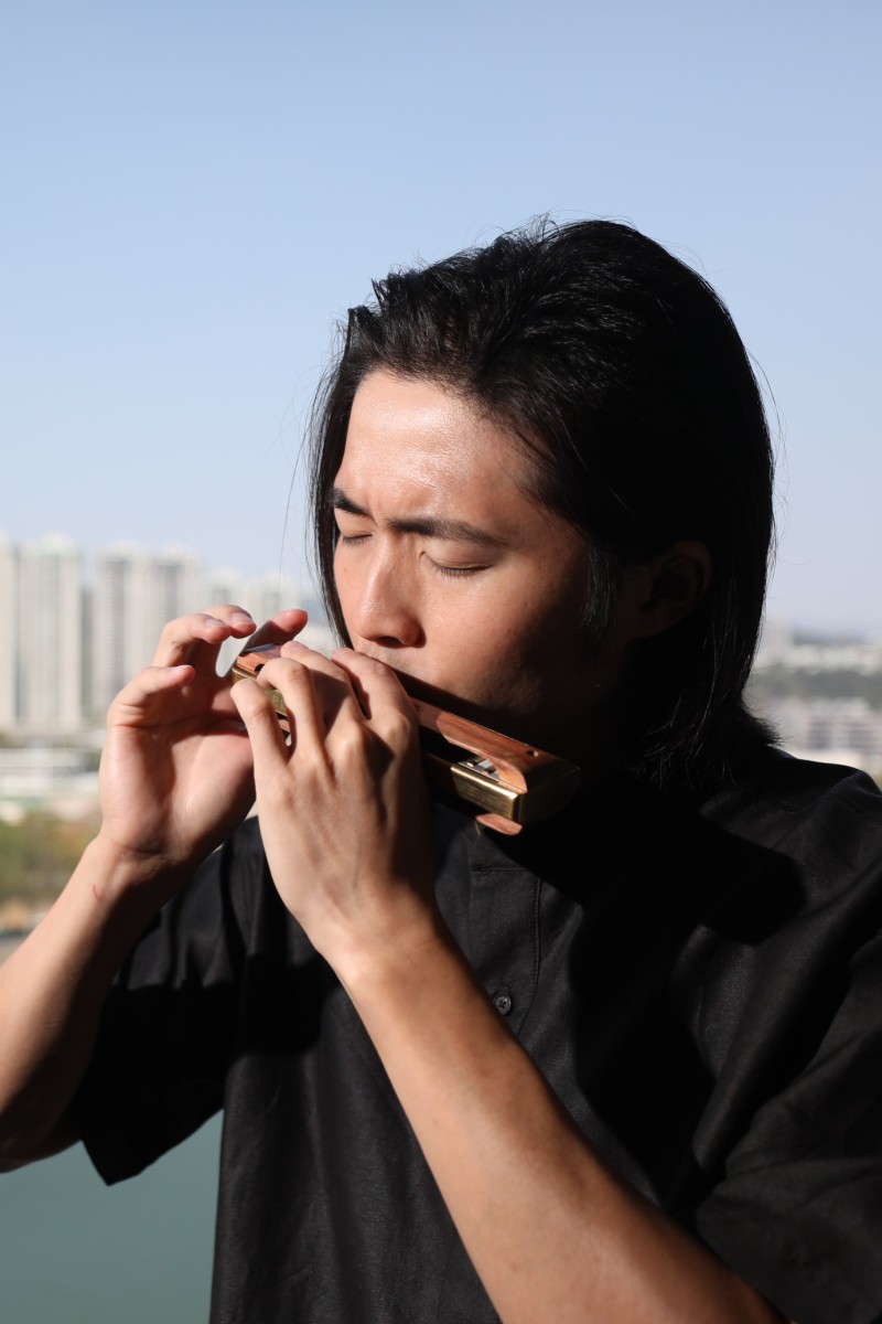 Cy leo outlet harmonica