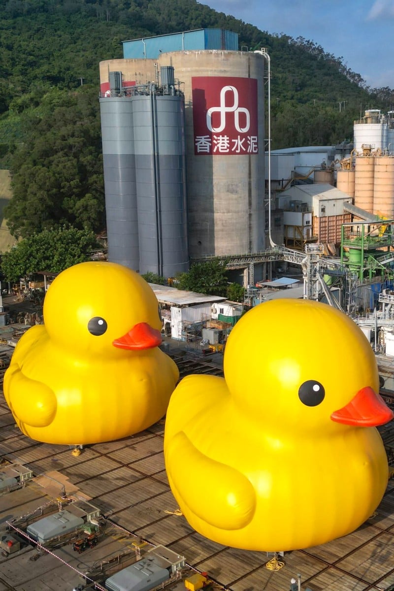 Duck city rubber ducks on sale