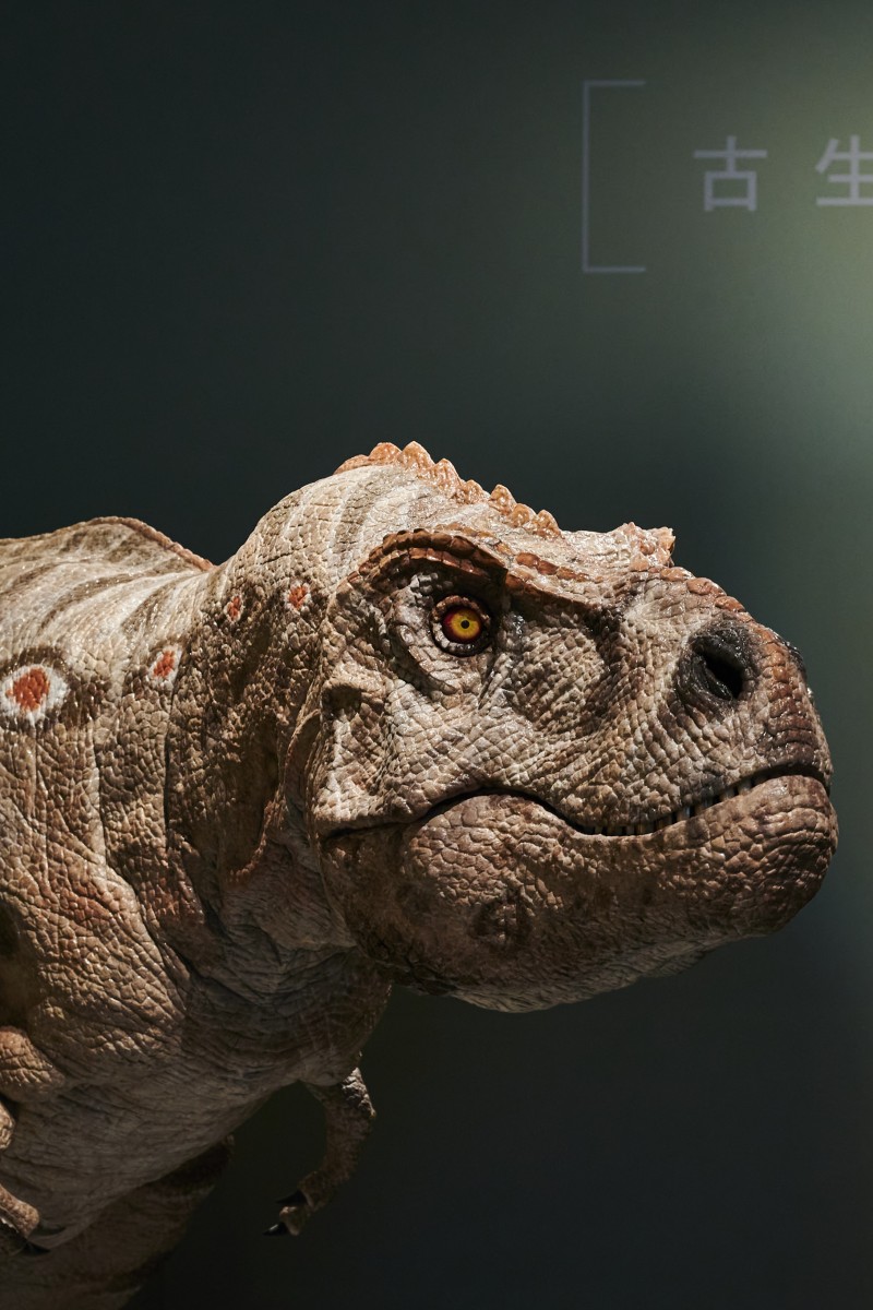 Rex China Inside the brain of T. rex: the most fearsome of dinosaurs was smarter ...