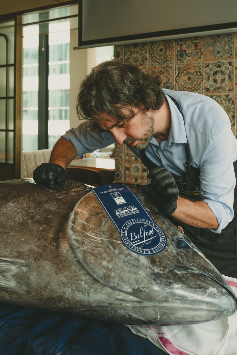 10 Fish Species You Can Eat With a Clean Conscience
