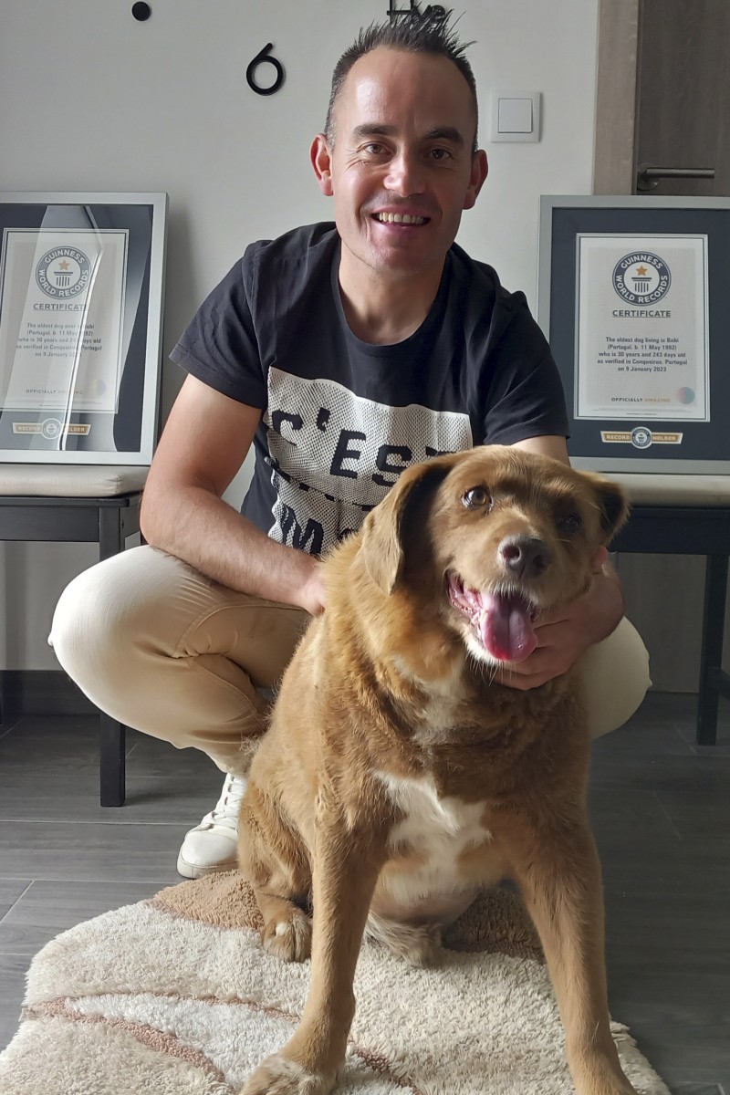 Oldest dog in the world deals