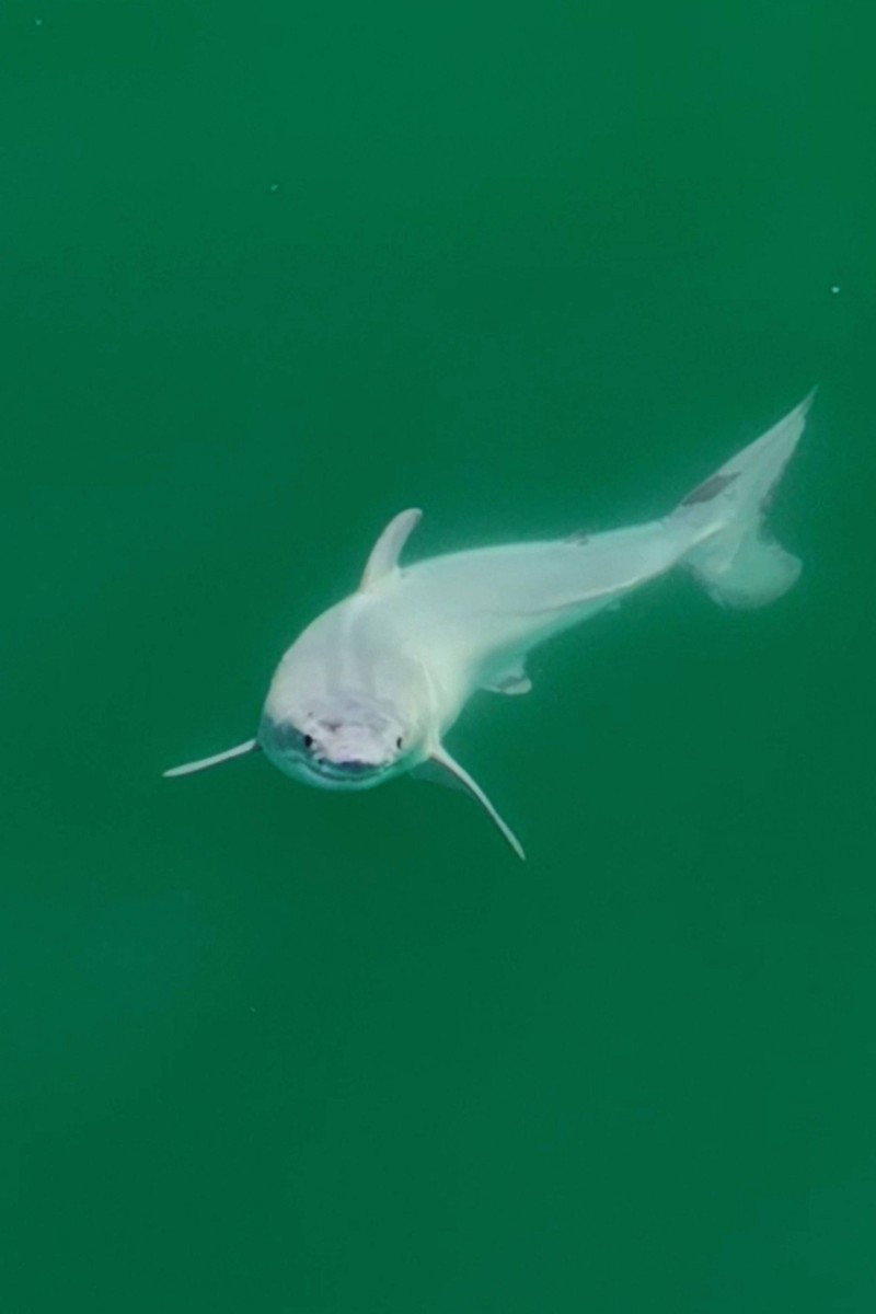 Drone footage captures what is probably the world’s first sneak peak of