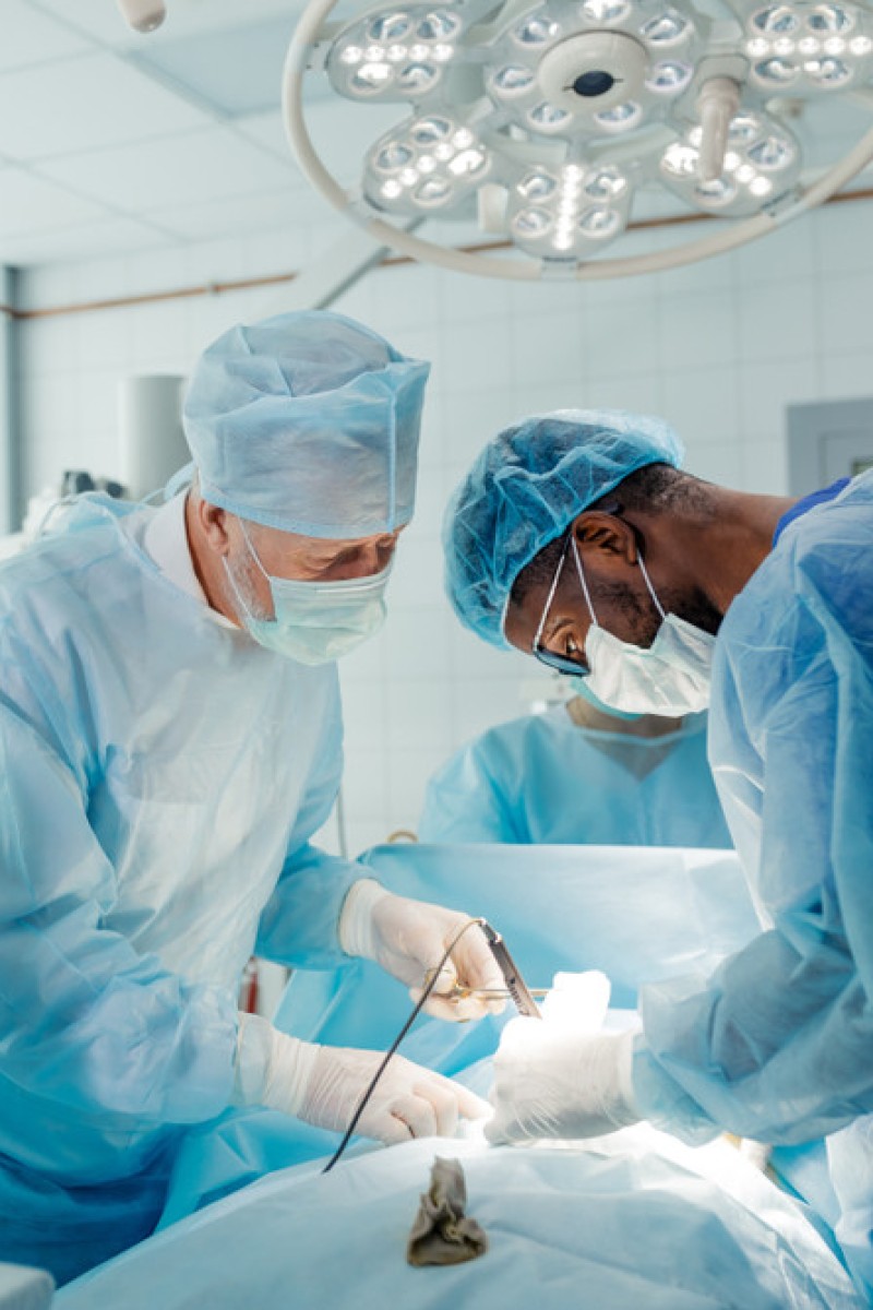 US begins organ-transplant reform as ‘signs of life’ found before some ...