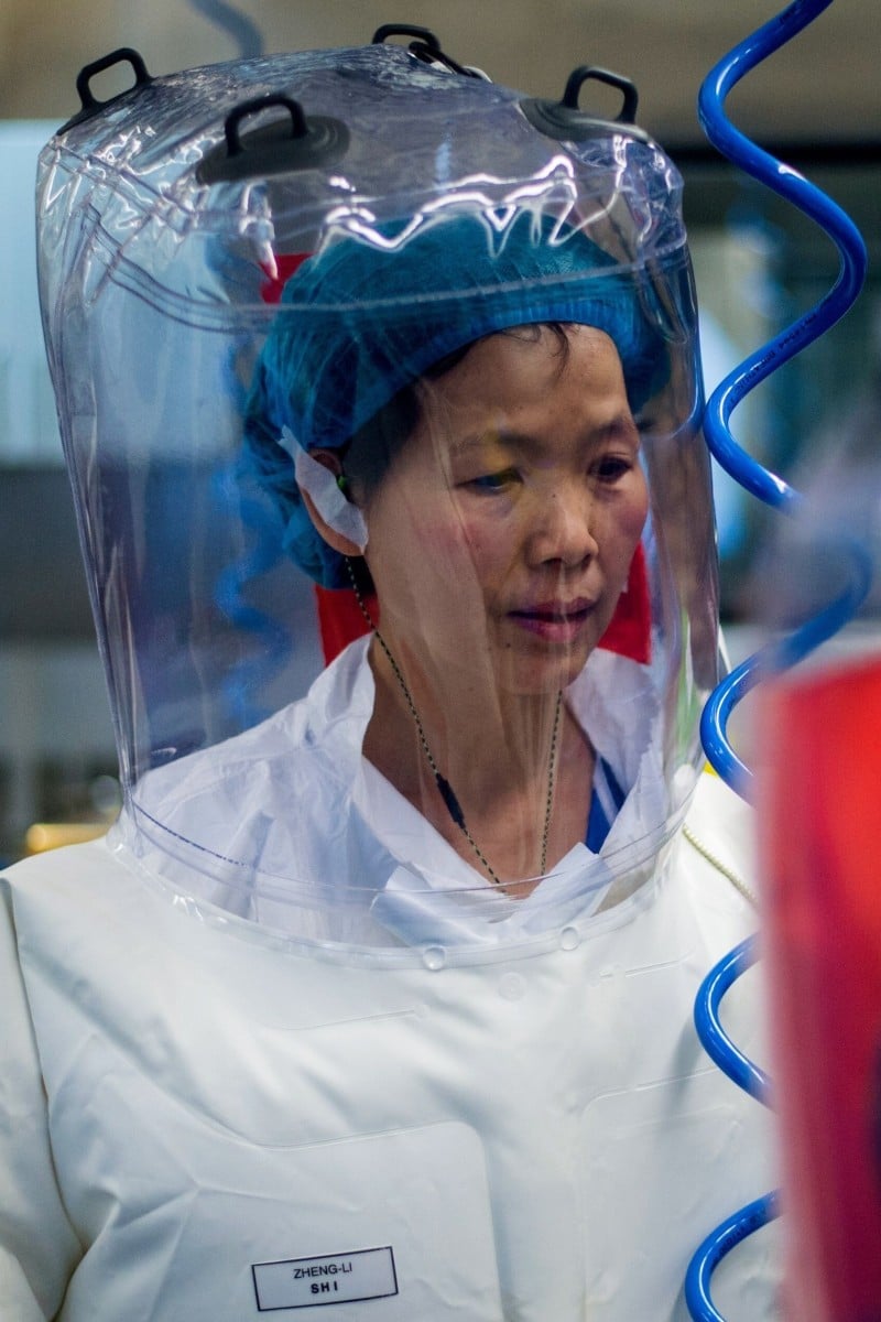 Coronavirus: Chinese virologist Shi Zhengli publishes new paper on pathogen's evolution | South China Morning Post