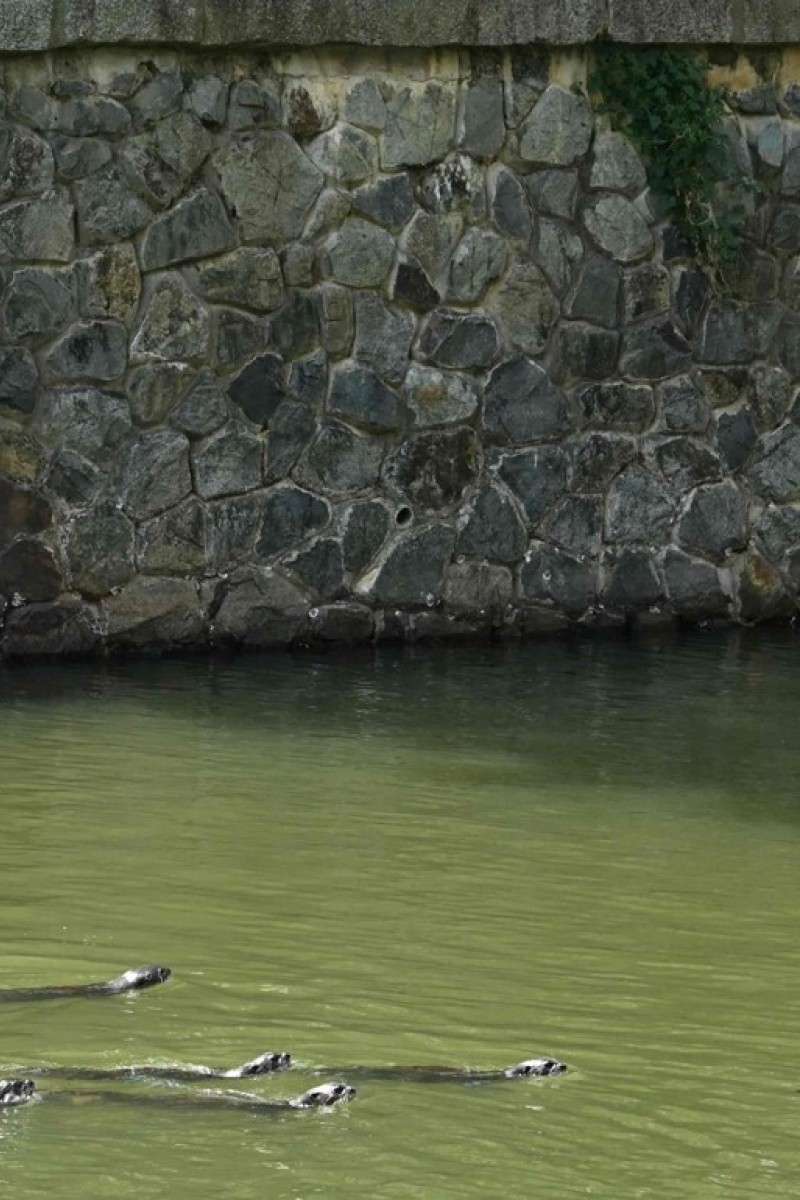 Bollywood Celebrities Join Outpouring Of Grief As Pregnant