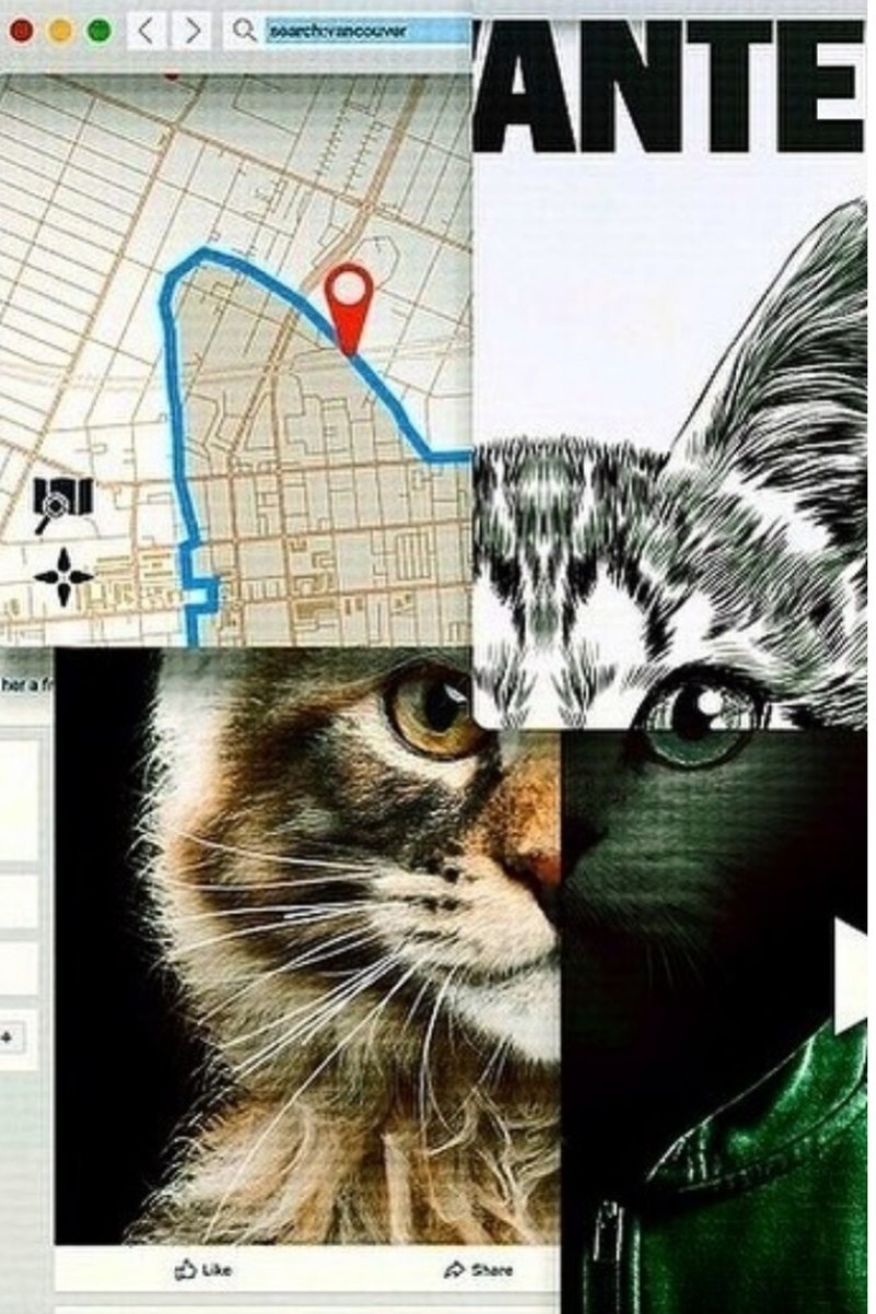 Ozark Easy Glow Dark And 14 More Series Netflix Cancelled Even Though Critics Loved Them Ranked South China Morning Post