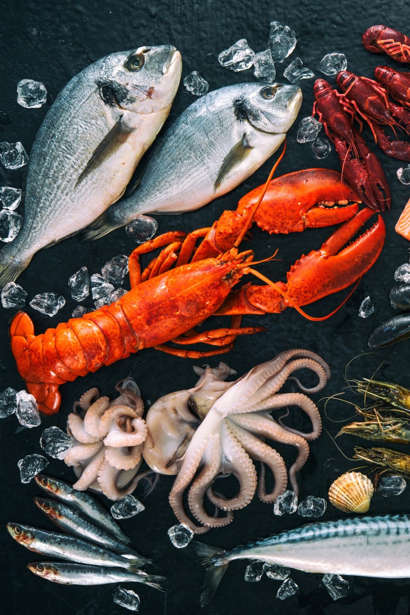 Seafood Poster and Guide Fish Species Identification Poster