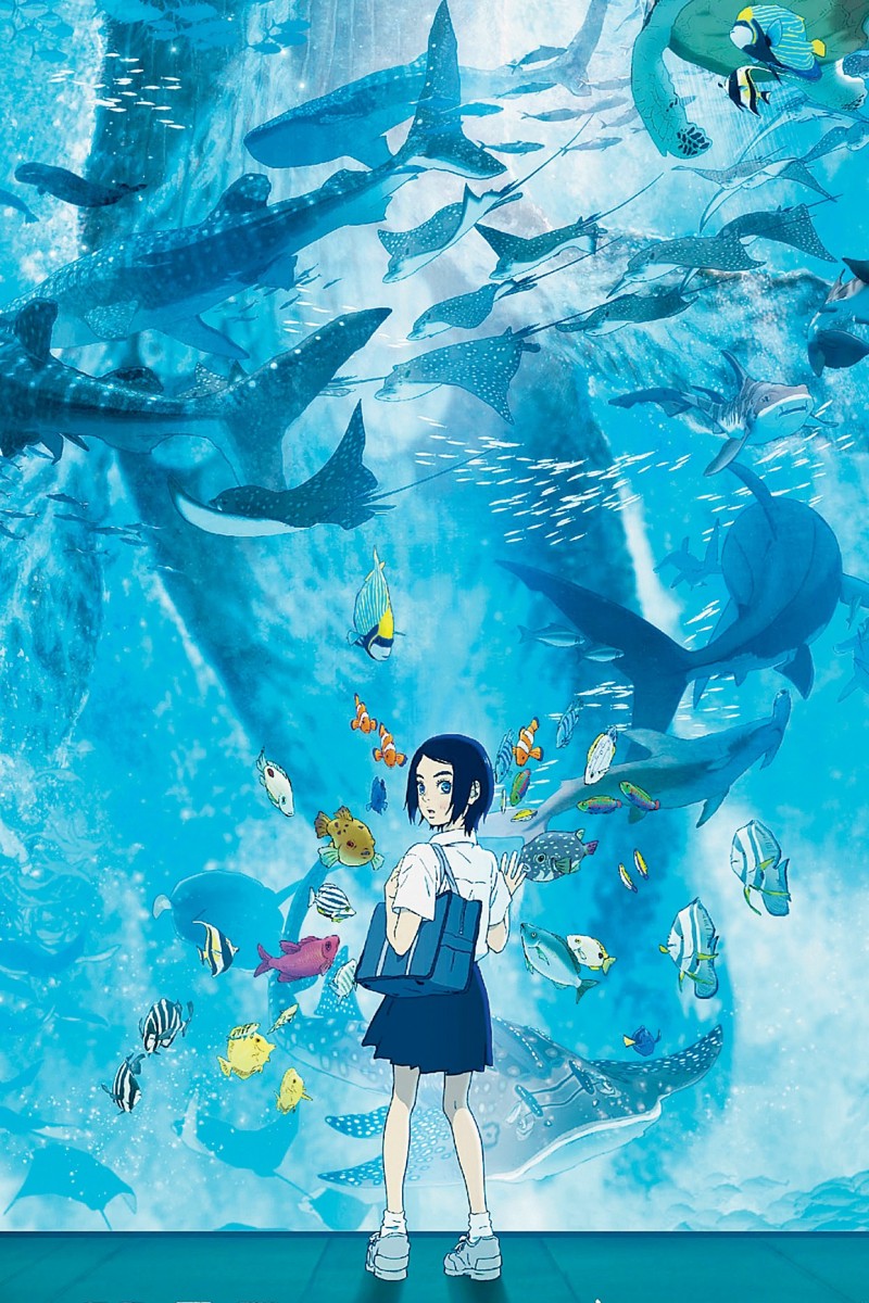 Children of the Sea movie review Japanese animated film features stunning  visuals but a weak plot  YP  South China Morning Post