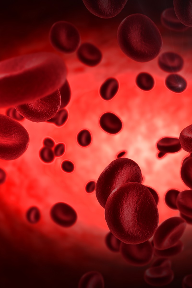 Everything you’ve ever wanted to know about blood: Types, components ...