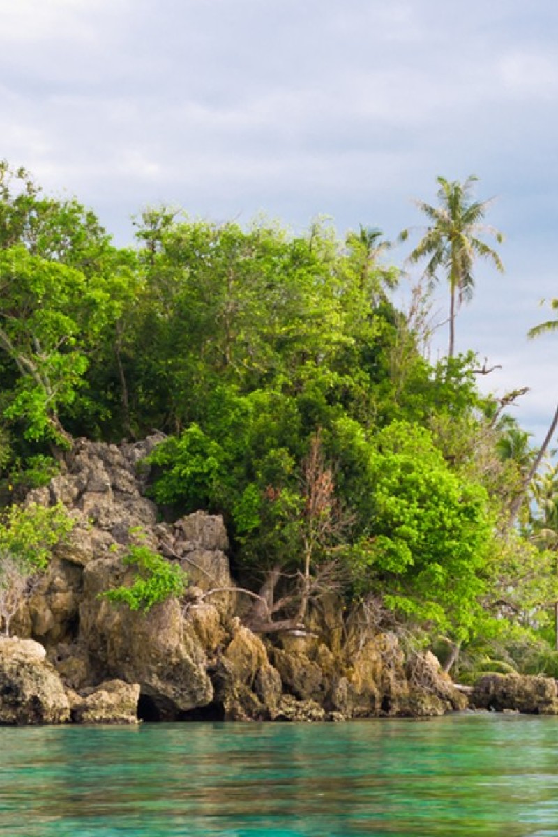 You find yourself stranded on an island. What happens next? - YP | South  China Morning Post