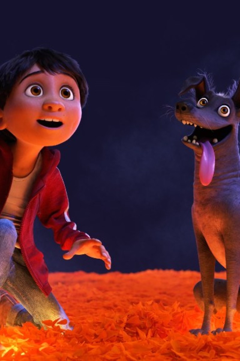 Rina Li Man-hei - Coco [Review] - Young Post | South China Morning Post