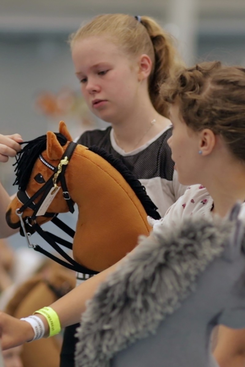 Biggest hobby horse event in the world' in Seinajoki, Finland shows it's a  physically demanding sport for serious competitors - YP | South China  Morning Post