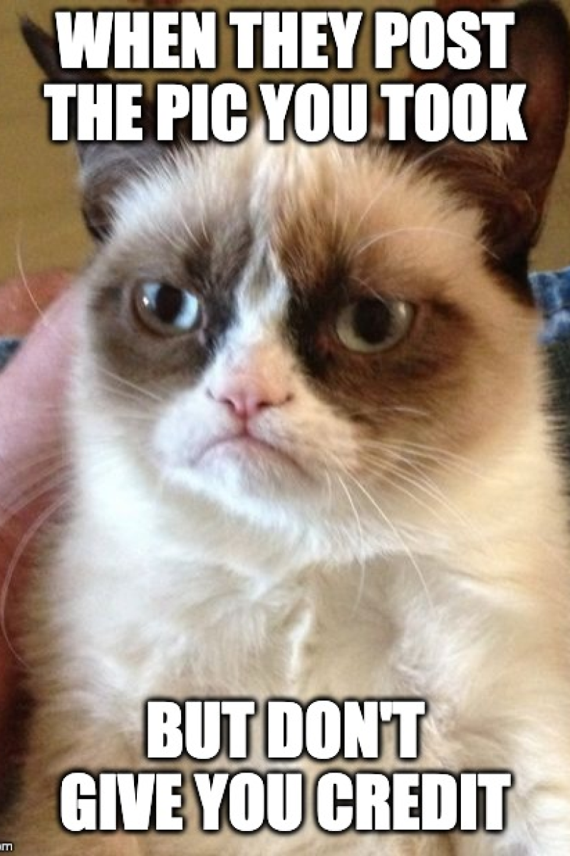 The 11 Best 9gag Memes Of All Time As The Viral Website Turns 11 Yp South China Morning Post The 11 Best 9gag Memes Of All Time As The Viral Website Turns 11 Yp South China Morning Post