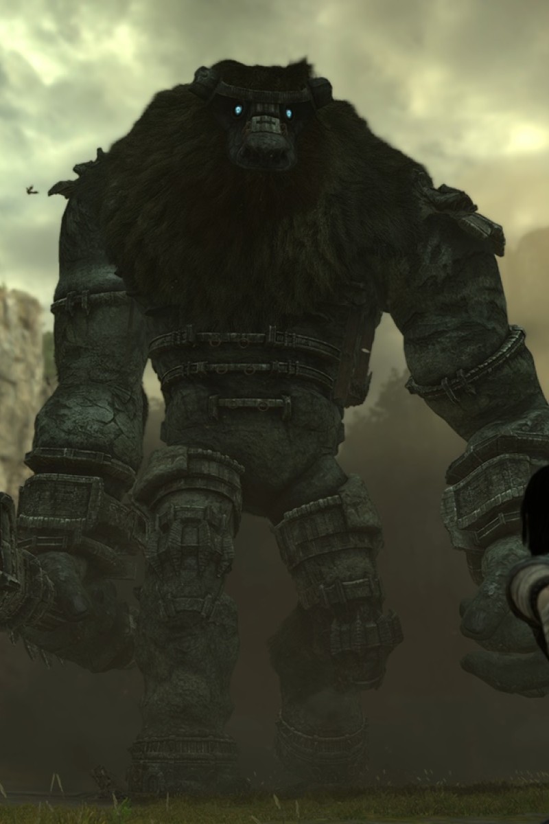  Shadow of the Colossus - PlayStation 4 : Sony Interactive  Entertai: Everything Else