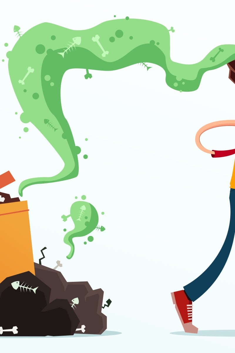 Top 10 stinkiest things in Hong Kong YP South China Morning Post