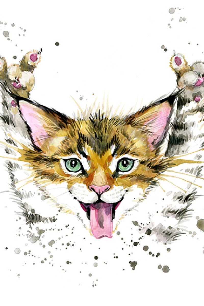 Life Is Good Cat Doodle Women's Tee Image by Shutterstock