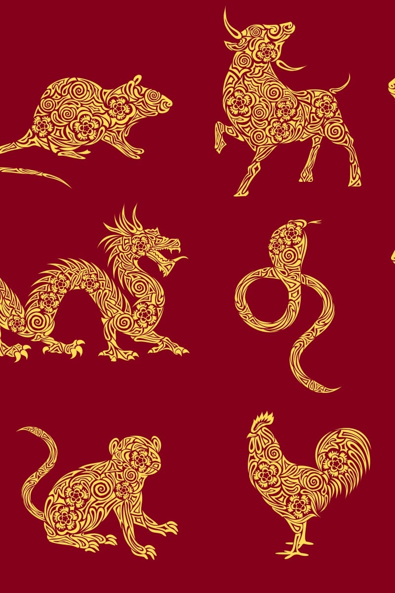 Top 10: Which animal would you add to the Chinese zodiac? - YP | South China Morning Post Top 10: Which animal would you add to the Chinese zodiac? - YP | South China Morning Post