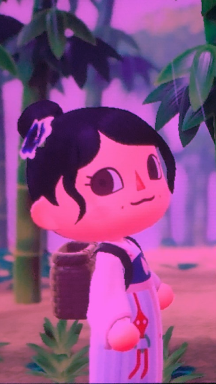 Chinese Gamers Decorate Animal Crossing With Propaganda And Covid
