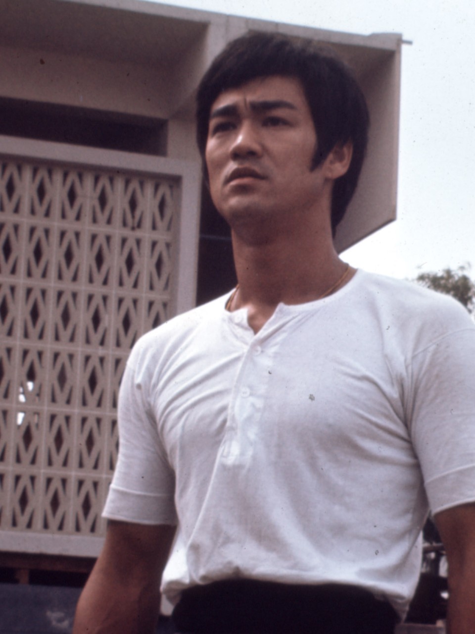 Bruce lee white discount
