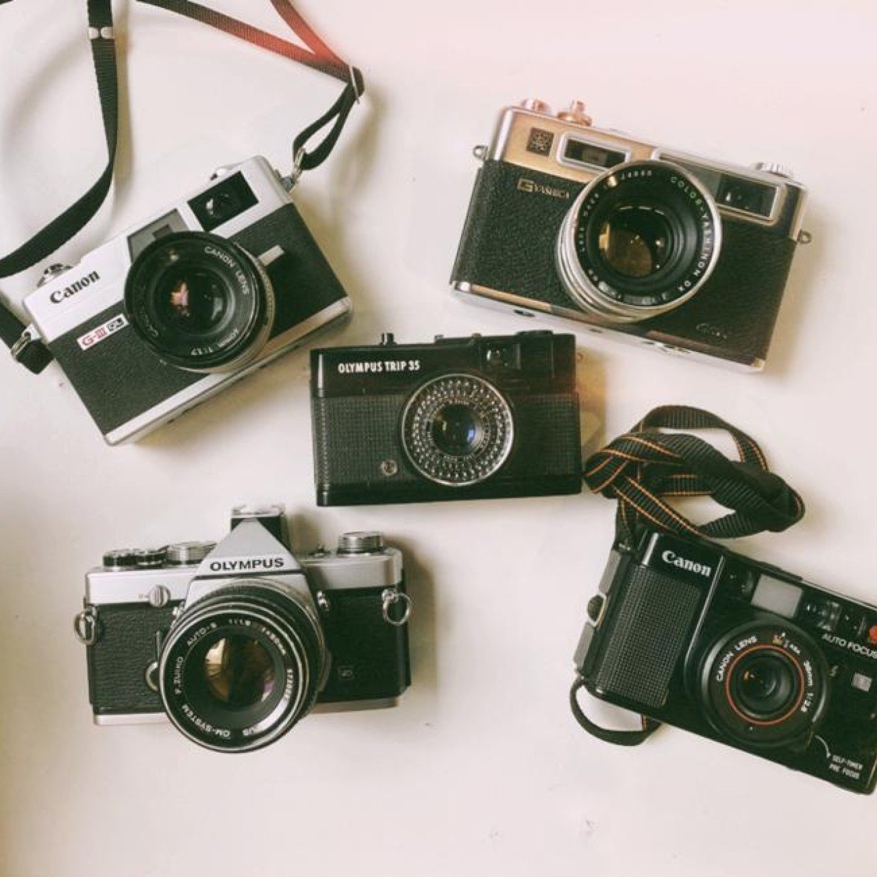 The 5 best film cameras for photography beginners - YP