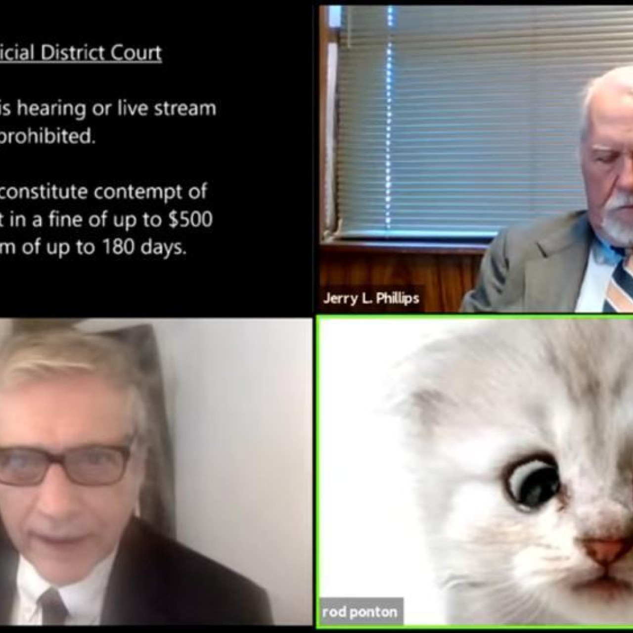 I M Not A Cat Says Us Lawyer Struggling With Zoom Filter Yp South China Morning Post I M Not A Cat Says Us Lawyer Struggling With Zoom Filter Yp South China Morning Post