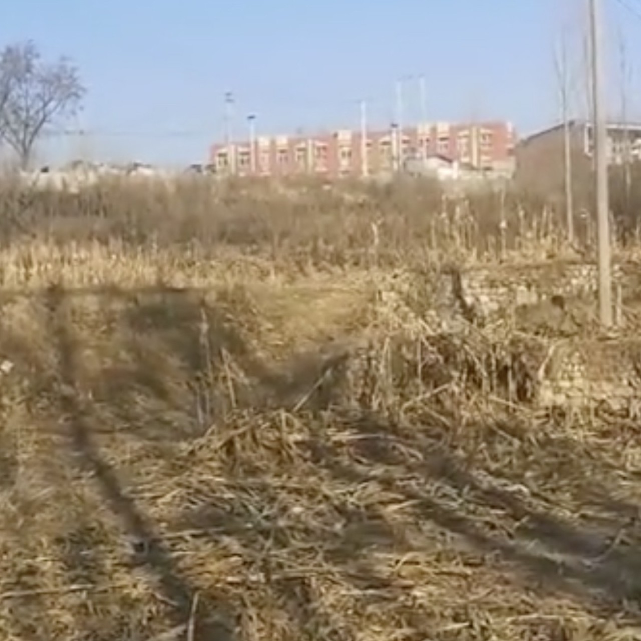 Chinese Man Stole Nearly Us 2m After Finding Bug On Video Website