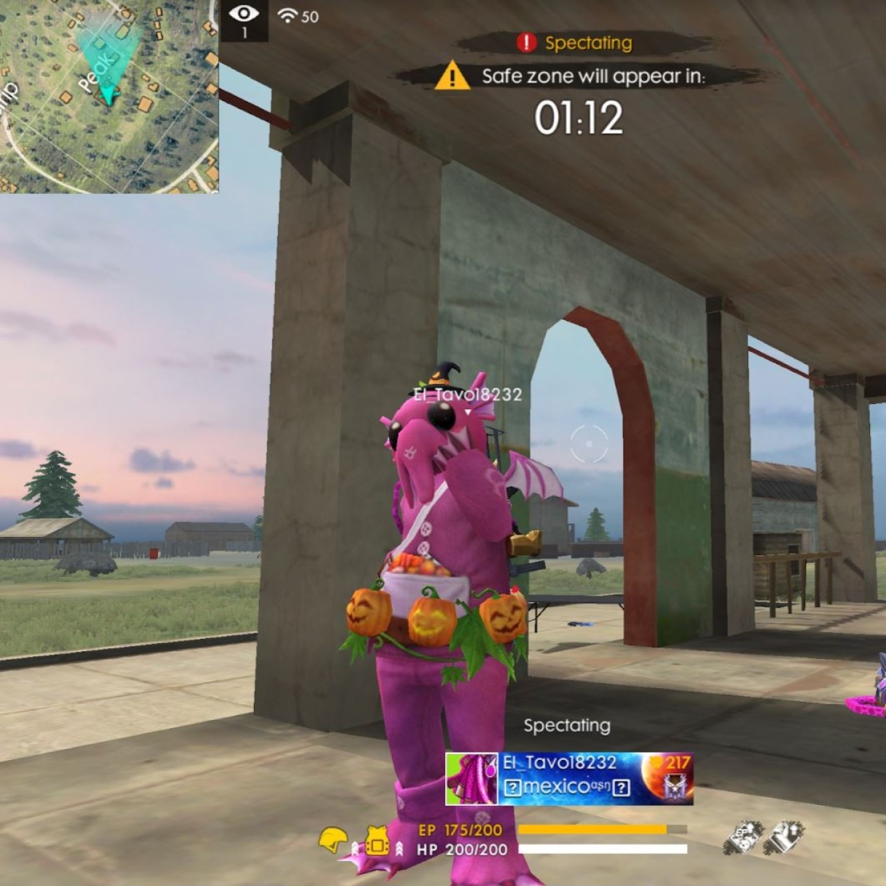 Mobile Game Free Fire Propels 39 Year Old Singaporean Co