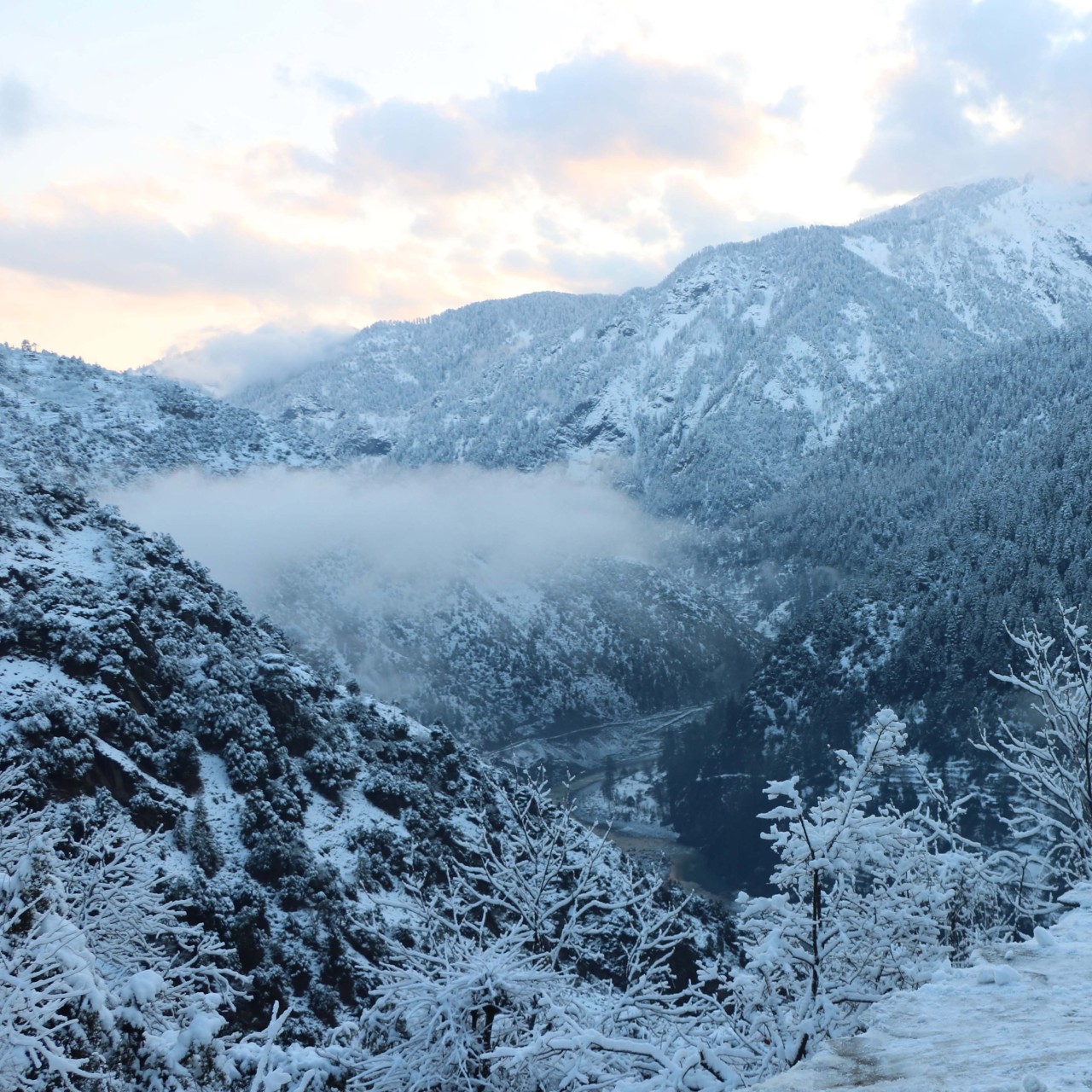 At Least 130 Dead As Avalanches Heavy Snow Hit Pakistan India