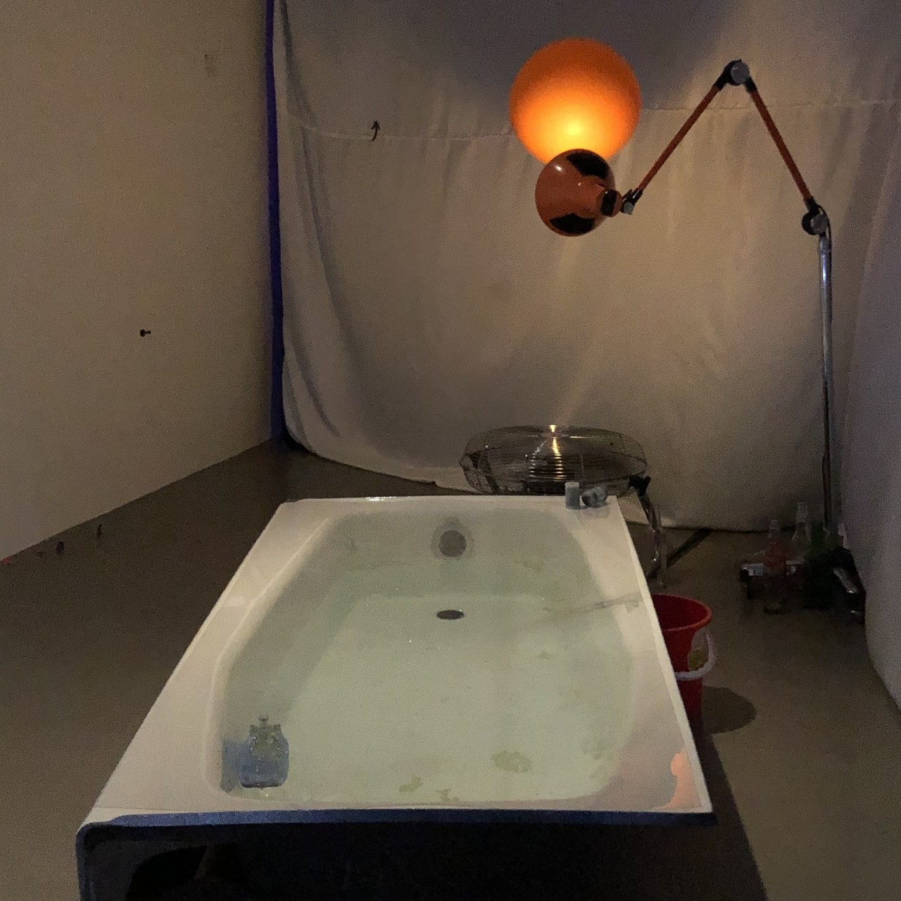 Shampoo Made From Cow Dung Yes Toothpaste Too And Art Indian