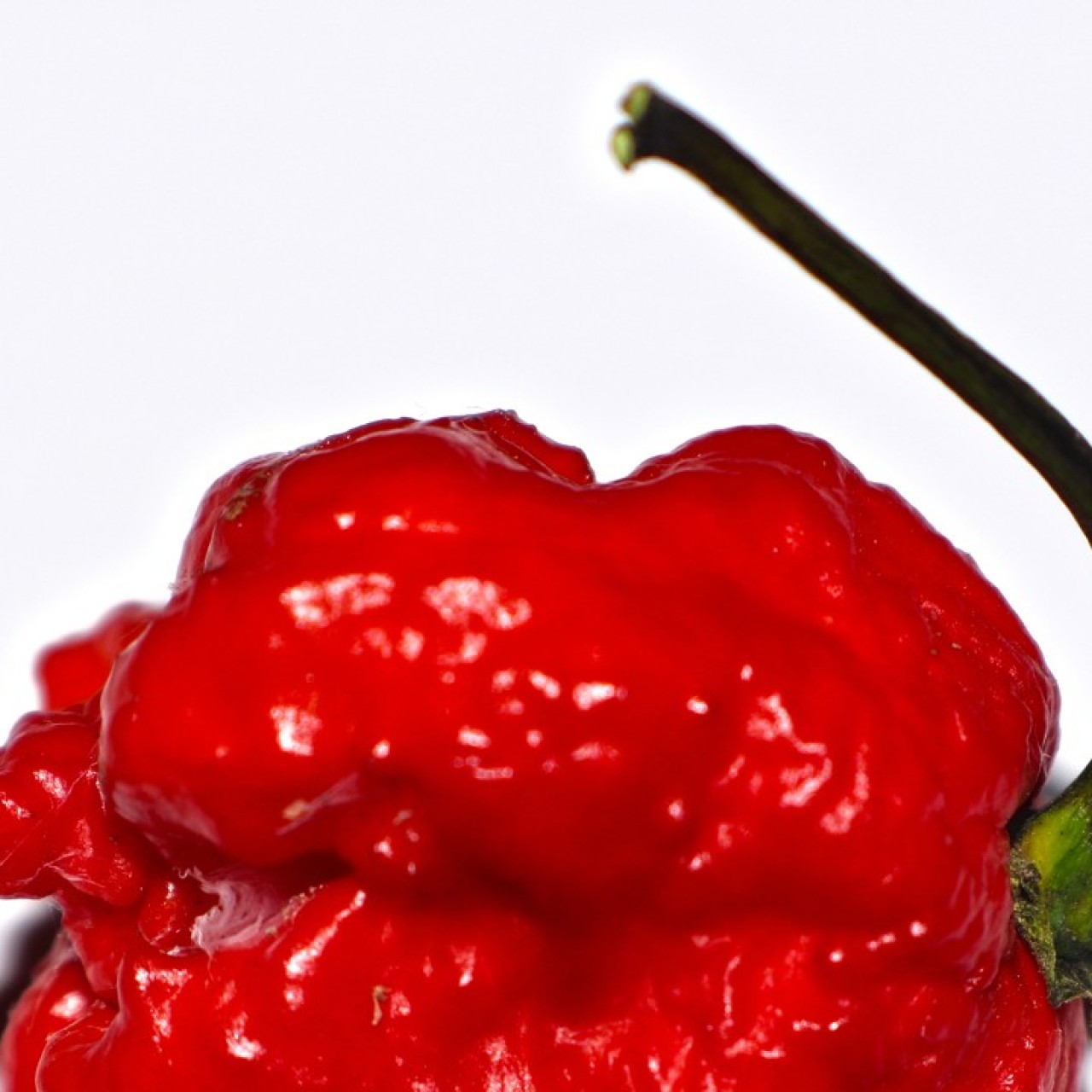 Man In Hospital After Eating A Carolina Reaper World S Spiciest Red Hot Chilli Pepper Yp South China Morning Post