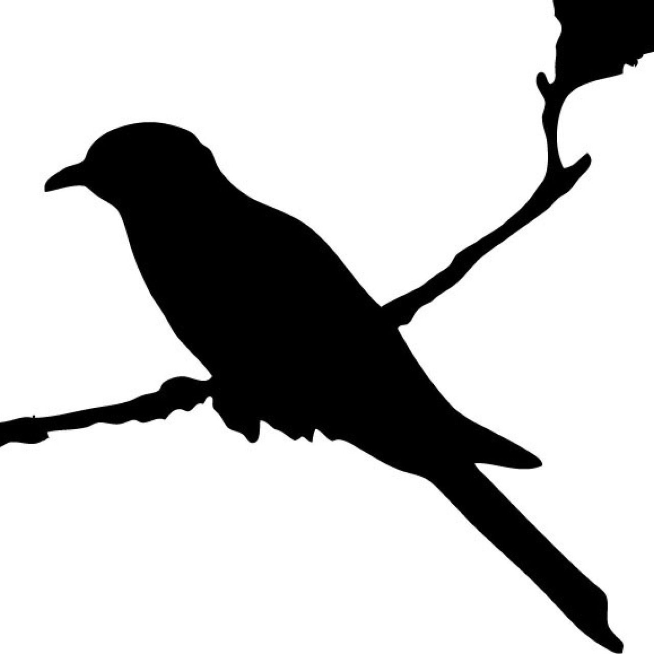 review-questions-for-to-kill-a-mockingbird-to-kill-a-mockingbird