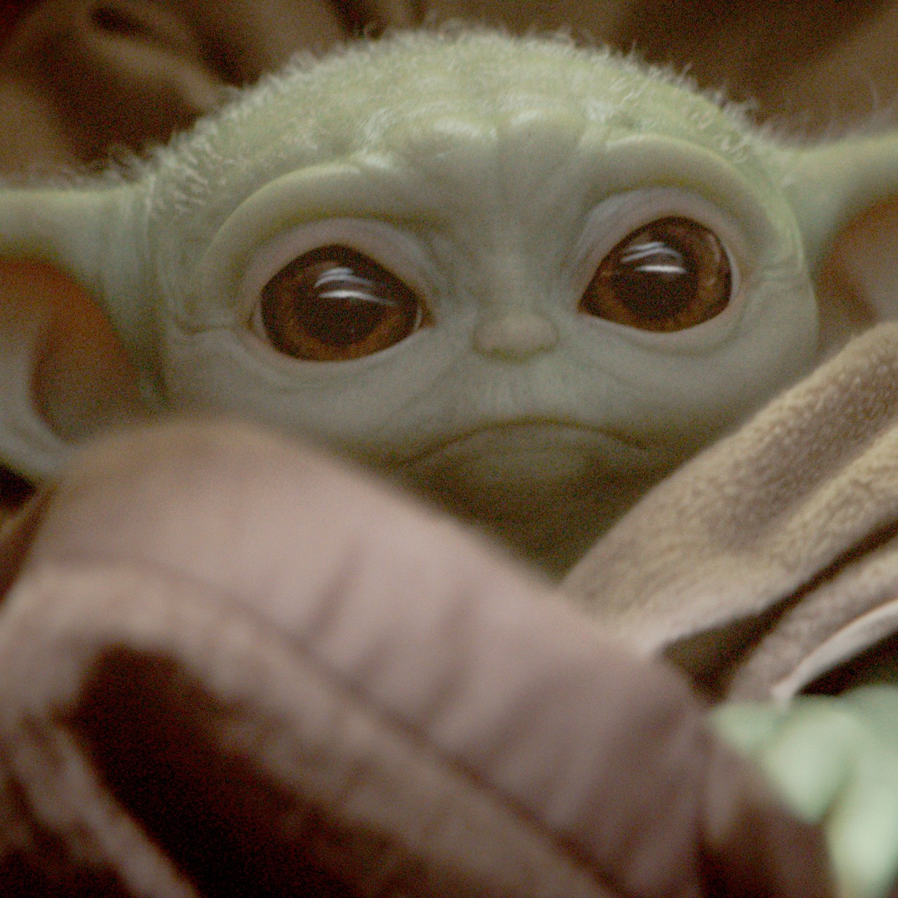 5 cute Star Wars creatures: Baby Yoda, Ewoks, BB-8 and more - YP ...