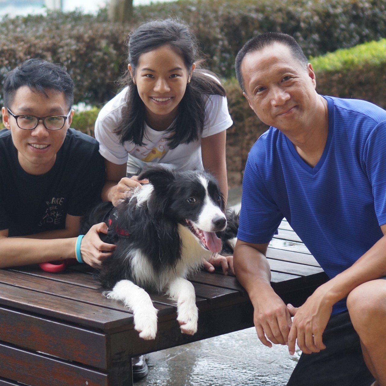 Yum cha, mahjong...and pet-sitting? Senior CID trains retirees to care for  your furbabies - YP | South China Morning Post