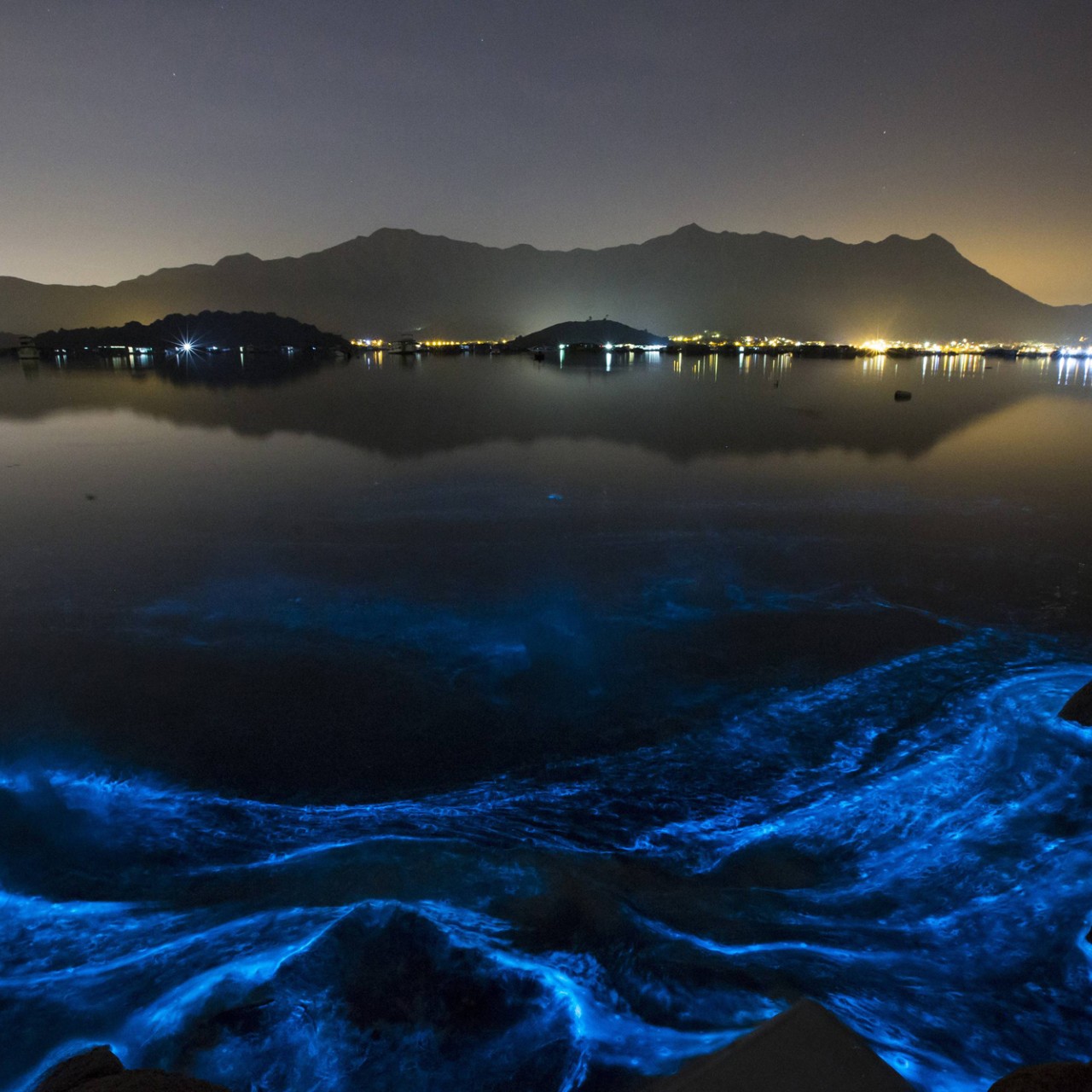 A Bioluminescent Bloom in Hong Kong - The Atlantic