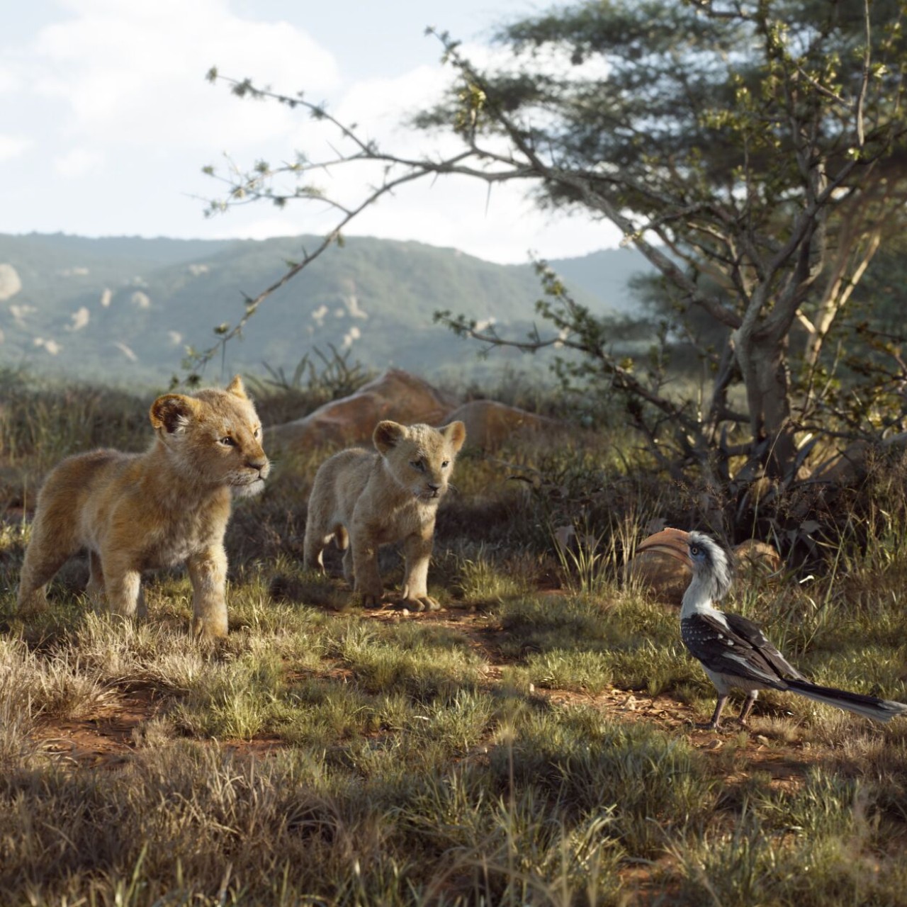 Simba living his best life with his loving family