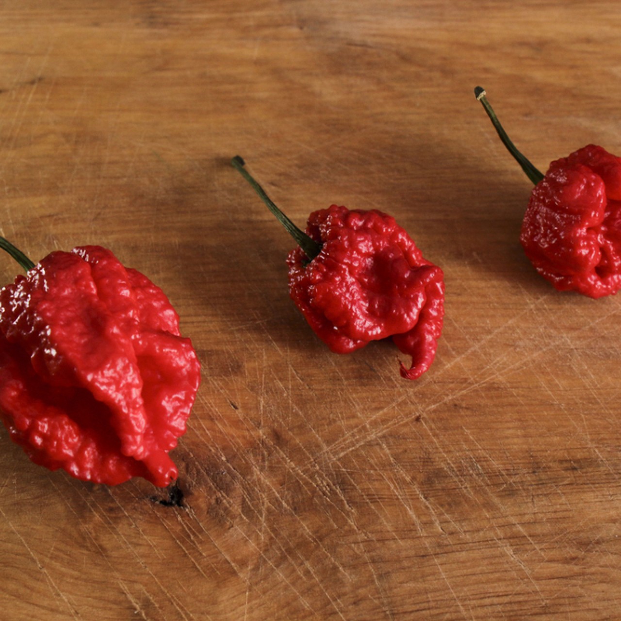 Man In Hospital After Eating A Carolina Reaper World S Spiciest Red Hot Chilli Pepper Yp South China Morning Post