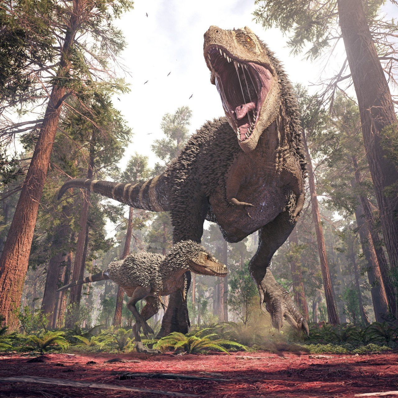 T-rex dinosaur could not have run at high speed, says study