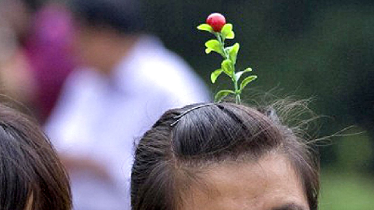 China s new flower child trend Is bizarre mainland sprout hair