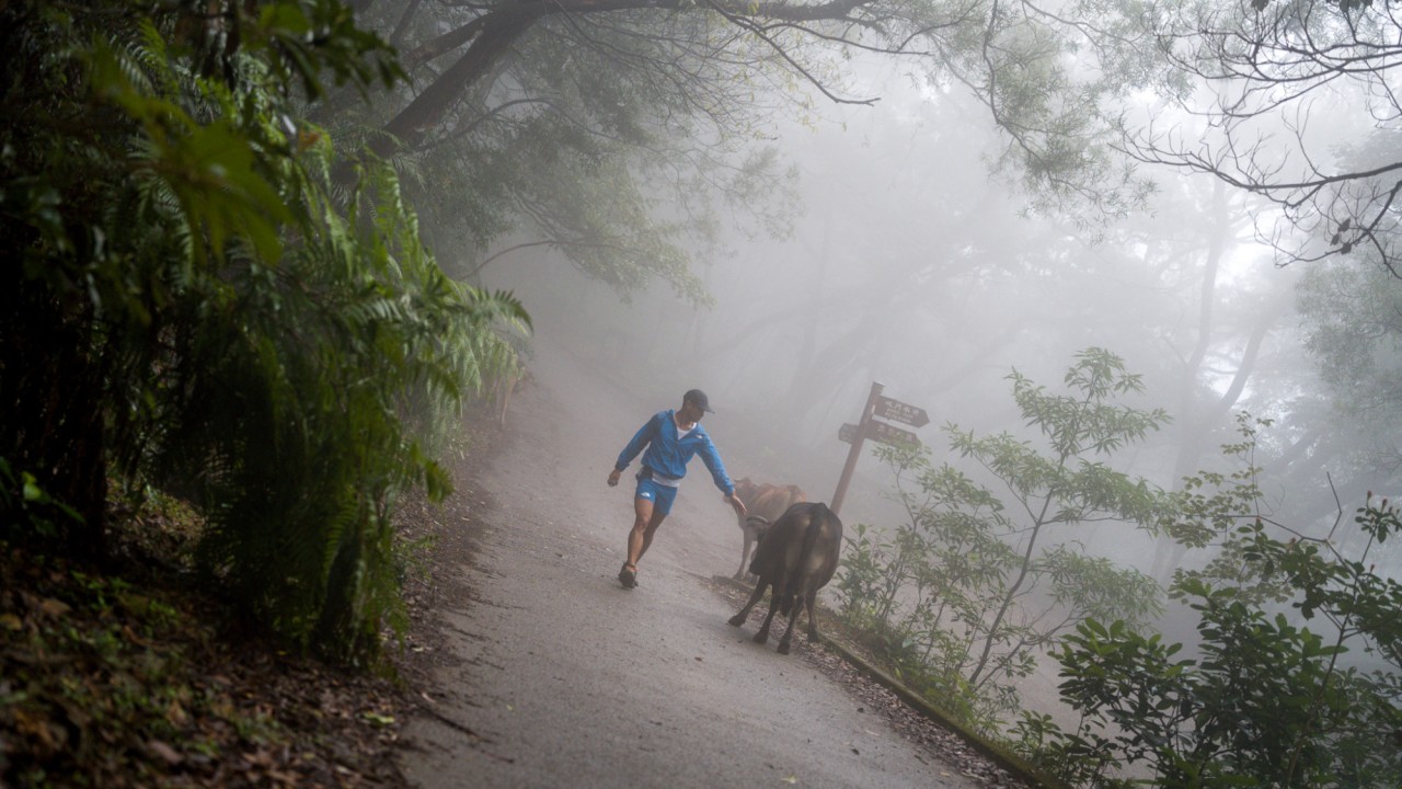 Hong Kong Four Trails: Wong obliterates ultramarathon record