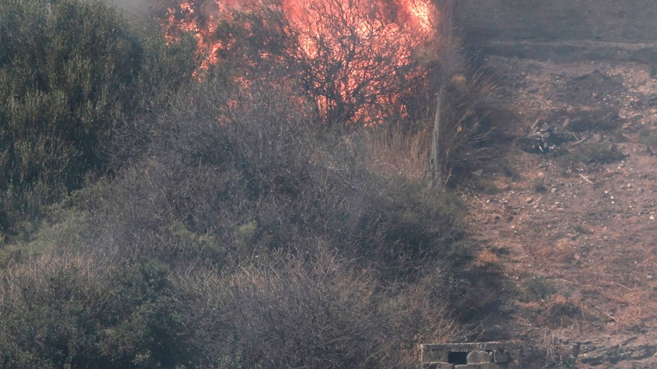 Greece: Forest Fire Destroys Jobs of Pine Resin Collectors