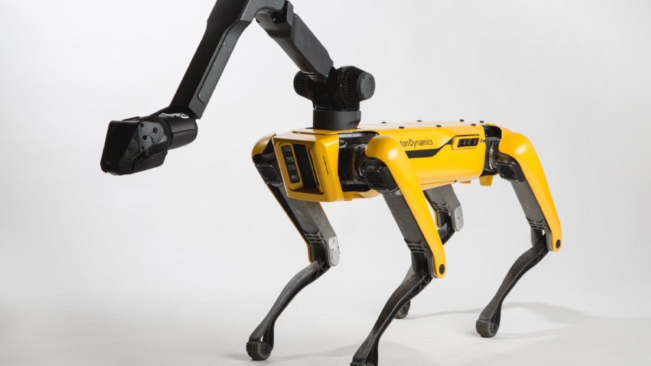 Spot robot dog price 2025