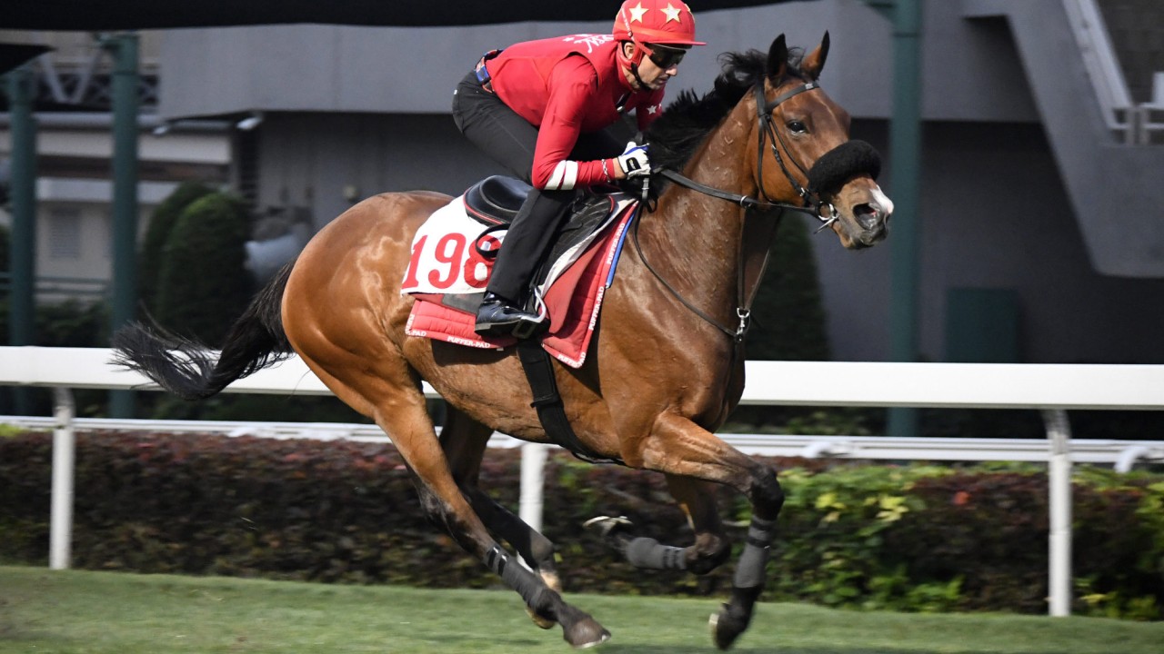 Russian Emperor gallops on the Sha Tin turf under Douglas Whyte earlier this week.