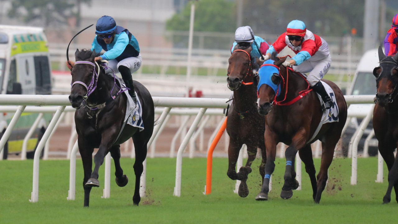 Sunny Da Best (inside) surges clear to easily account for his rivals at Sha Tin.