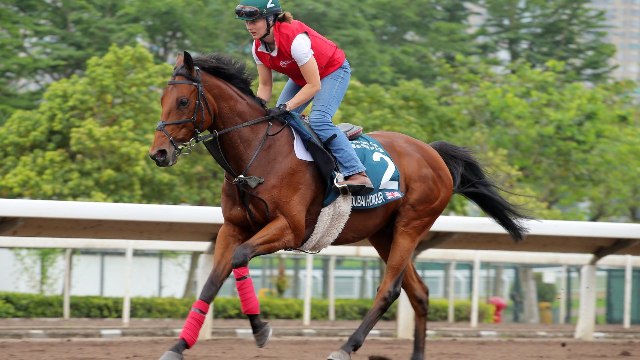 Dubai Honour on the all-weather track at Sha Tin in 2023.