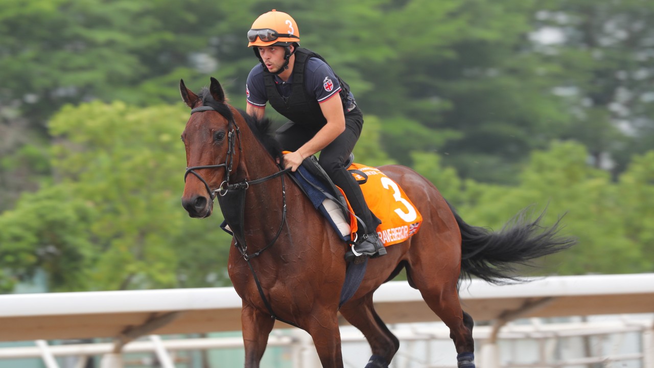 Brave Emperor gallops on the all-weather track at Sha Tin on Wednesday morning. Photo: Kenneth Chan