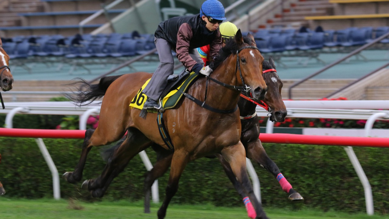 Matthew Chadwick puts Ka Ying Cheer through his paces in a Sha Tin trial on April 9.