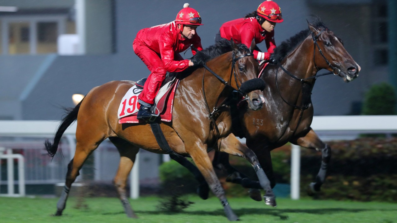 Russian Emperor (left) gallops on the Sha Tin turf under Douglas Whyte last month.